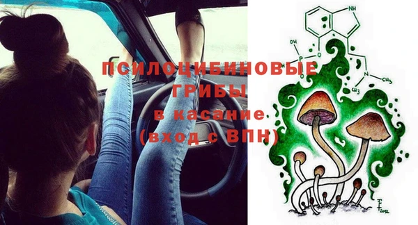 apvp Алексин