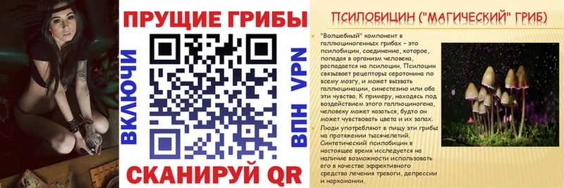 Псилоцибиновые грибы мицелий  Алейск 
